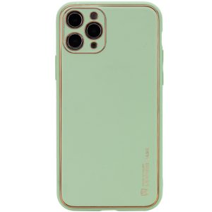 Шкіряний чохол для Apple iPhone 12 Pro Max Зелений Xshield