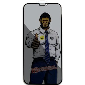 Захисне скло для iPhone 11 Pro / X / XS Privacy 5D Anti-Static