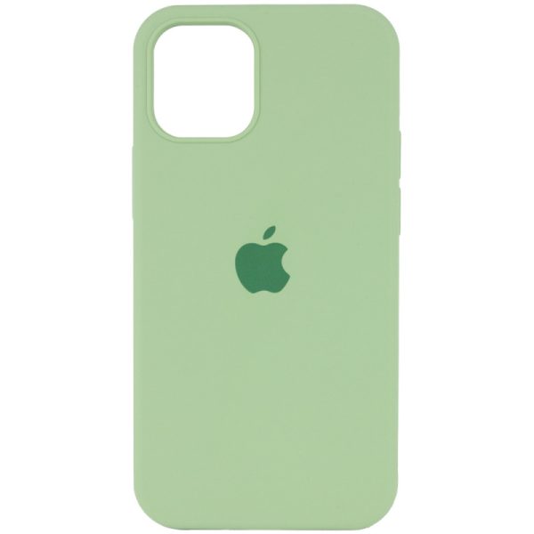 Чохол для iPhone 16 Pro Max сіліконовий Case Full Protective м'ятний
