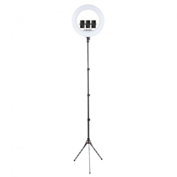 Кільцева лампа для смартфону  54см LED RL-21 зі штативом 191см AC Prof